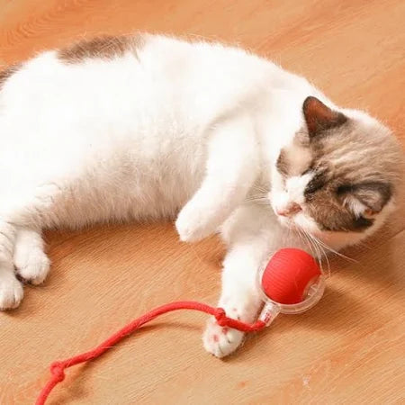 KITATI: Balle pour chat